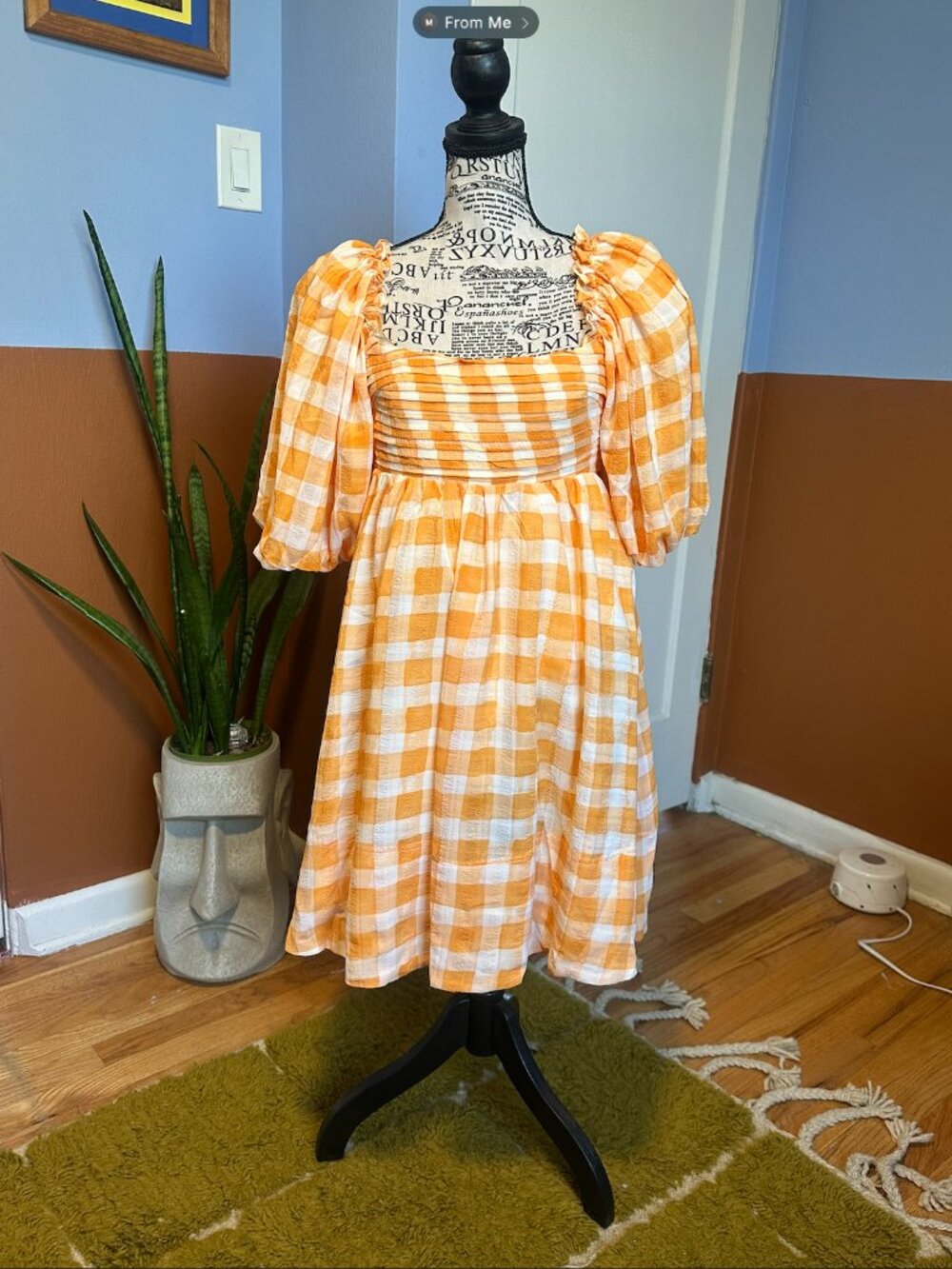 Gigham Picnic dress